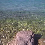 Zeljka