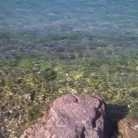 Zeljka